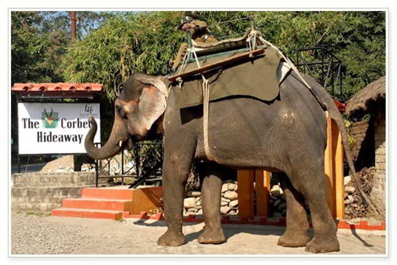 Taj Corbett Resort And Spa Uttarakhand Ramnagar  Εξωτερικό φωτογραφία